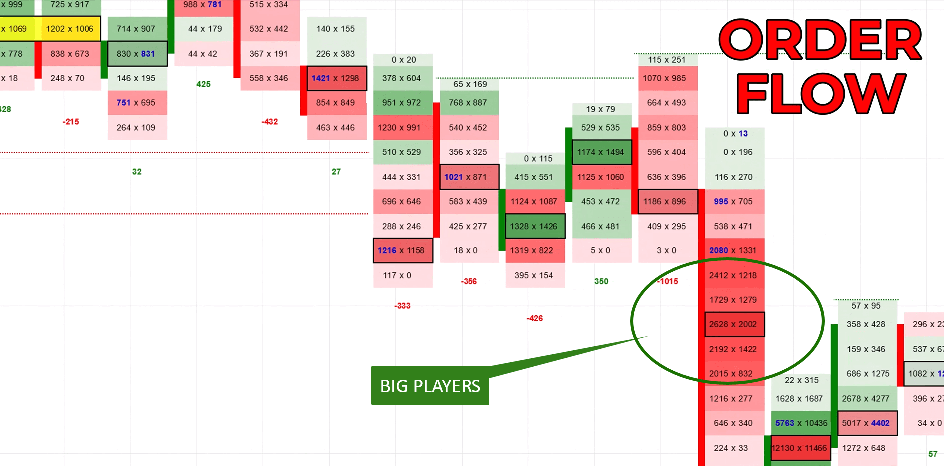 A detailed Order Flow footprint chart showing real-time buy and sell orders, with a green circle highlighting "Big Players" activity